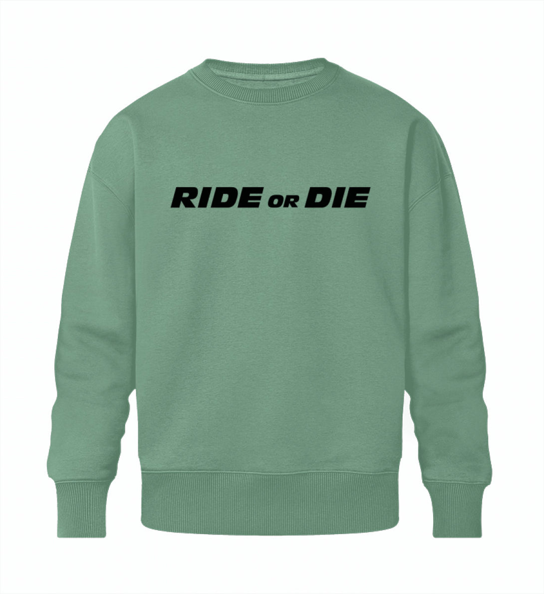 Ride or Die | Oversized Sweatshirt - Tuningmaniac